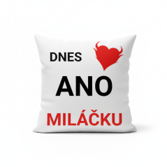 Polštář Dnes ANO miláčku