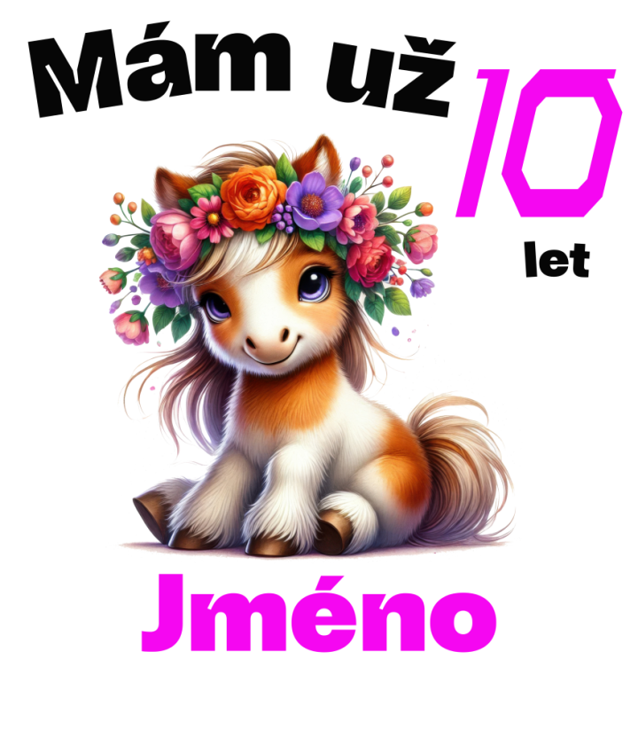 Narozeninové tričko poník se jménem - Věk: 10