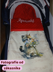 Minky deka mačka s vyšitým menom