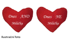 Polštář srdce -  Dnes ANO, dnes NE miláčku