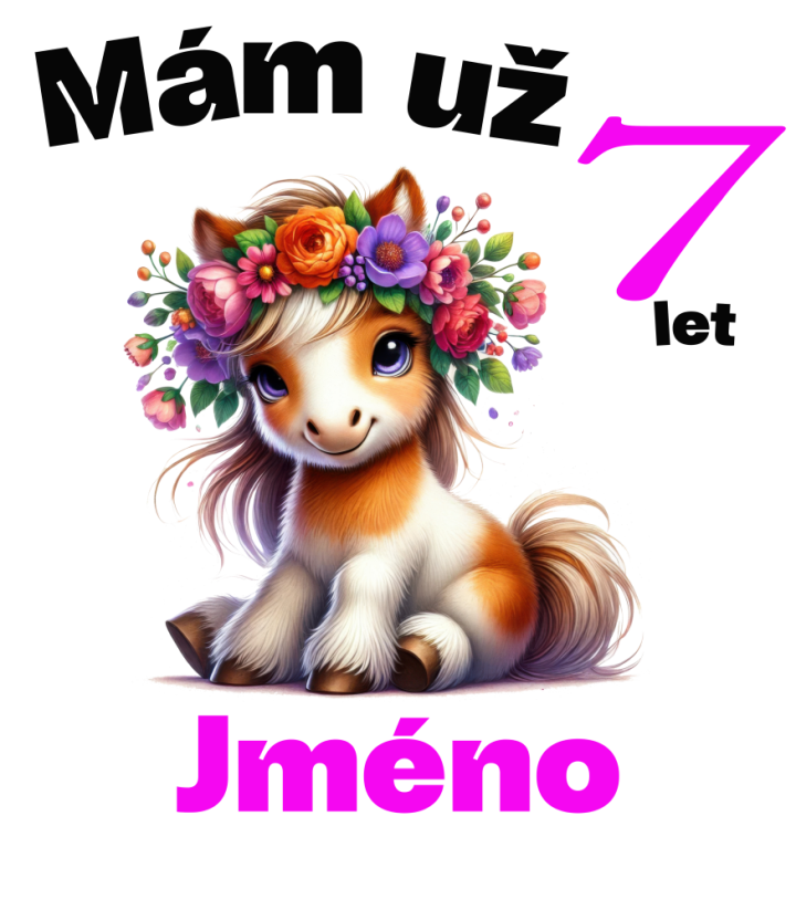 Narodeninové tričko poník s jménem - Věk: 7