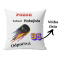 Polštář Budoucí hokejista odpočívá