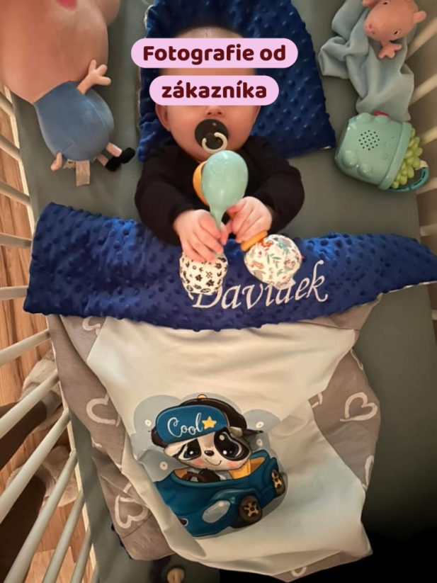 Minky deka panda v aute s vyšitým menom