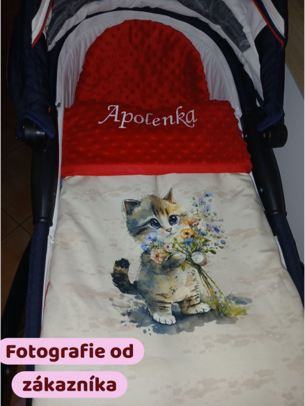 Minky deka kočka s vyšitým jménem