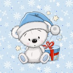 Nepadací deka zimní medvěd s vyšitým jménem