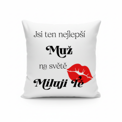 Polštář "Jsi ten nejlepší muž na světě"