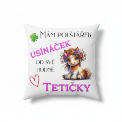 Polštář Usínaček poník od tetičky