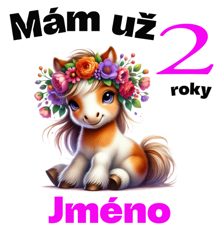 Narozeninové tričko poník se jménem - Věk: 2