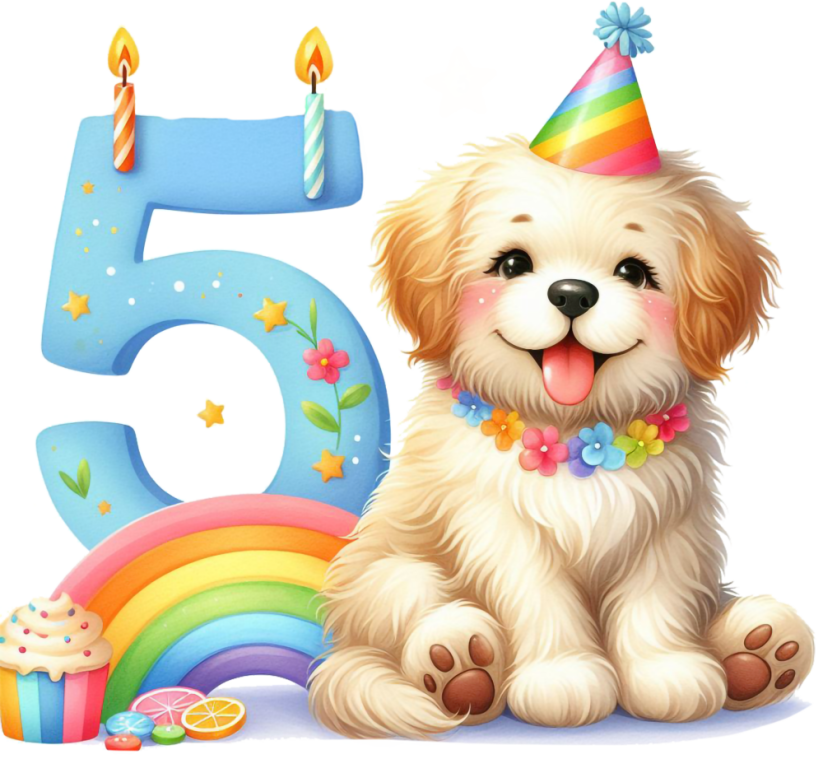 Narodeninové tričko s menom Pejsek - Věk: 5