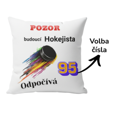 Polštář Budoucí hokejista odpočívá