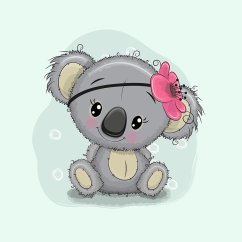 Minky deka koala s vyšitým jménem