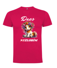 Tričko pony Dnes nezlobím