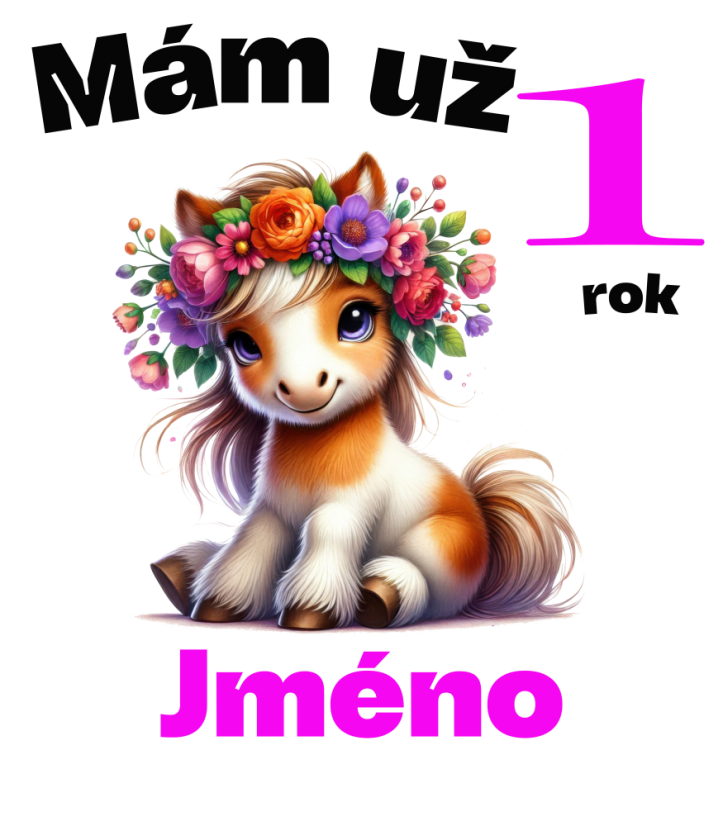 Narozeninové tričko poník se jménem - Věk: 1