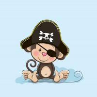 Nepadací deka opice pirát s vyšitým jménem