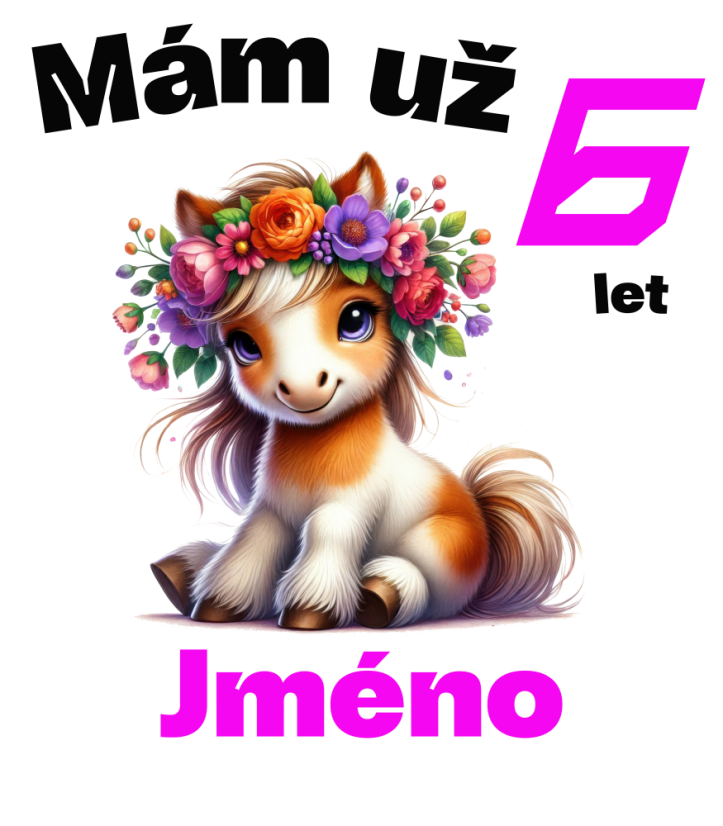 Narozeninové tričko poník se jménem - Věk: 5
